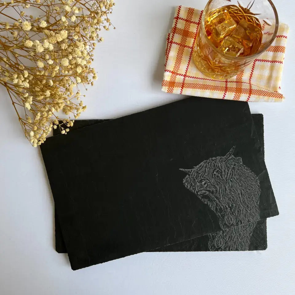 Slate Placemats