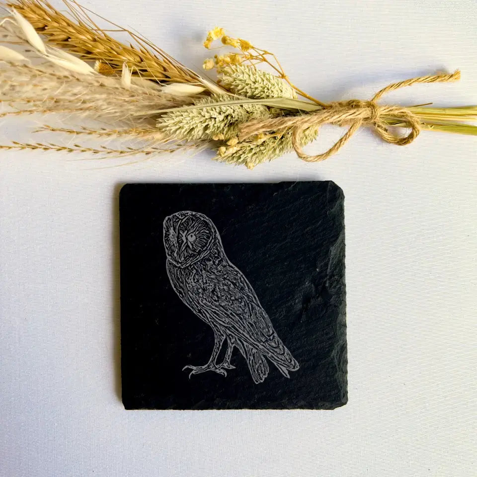 Barn Owl Slate Coasters - Birdwatcher Kitchenware Gift (Set of 2)