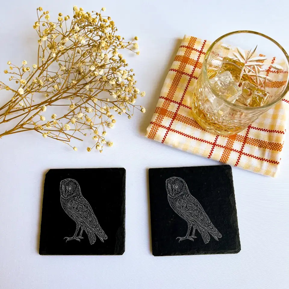 Barn Owl Slate Coasters - Birdwatcher Kitchenware Gift (Set of 2)