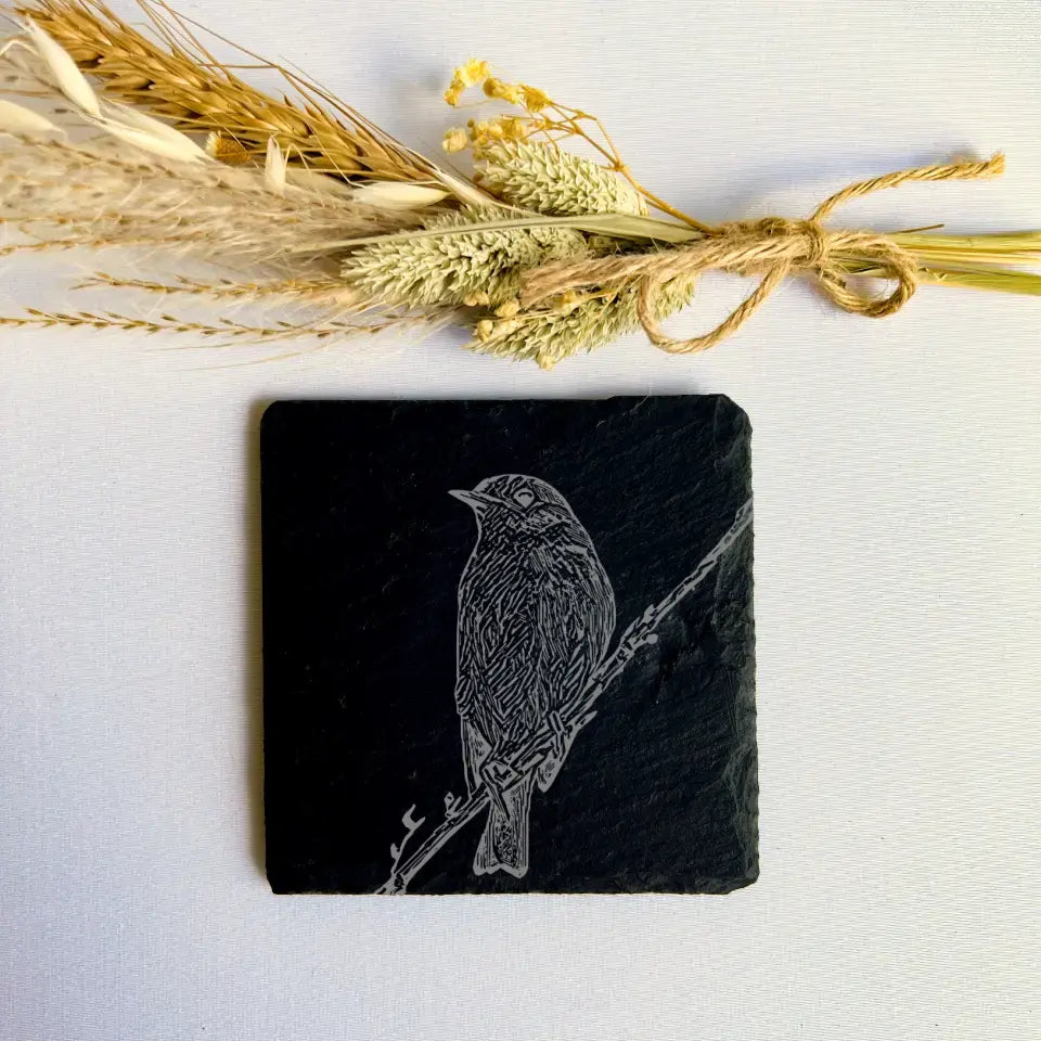 Robin Slate Coasters Set of 2 - Birdwatching Gifts for Countryside Kitchen