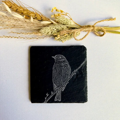 Robin Slate Coasters Set of 2 - Birdwatching Gifts for Countryside Kitchen