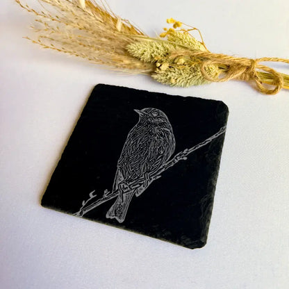 Robin Slate Coasters Set of 2 - Birdwatching Gifts for Countryside Kitchen