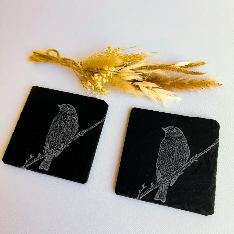 Robin Slate Coasters Set of 2 - Birdwatching Gifts for Countryside Kitchen