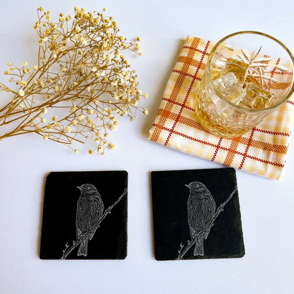 Robin Slate Coasters Set of 2 - Birdwatching Gifts for Countryside Kitchen