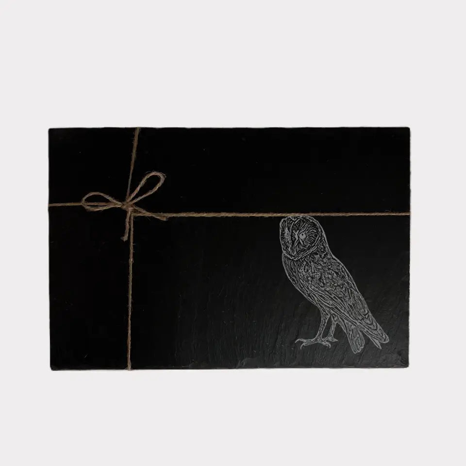 Barn Owl Slate Placemats - Owl Present Slate Table Mats (Set of 2)