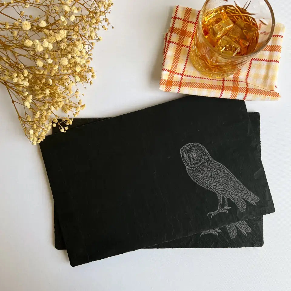 Barn Owl Slate Placemats - Owl Present Slate Table Mats (Set of 2)