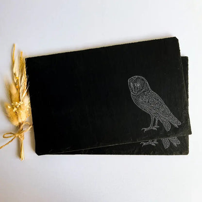 Barn Owl Slate Placemats - Owl Present Slate Table Mats (Set of 2)