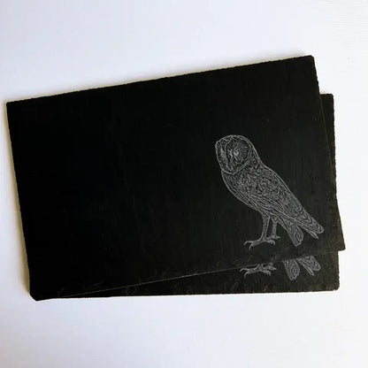 Barn Owl Slate Placemats - Owl Present Slate Table Mats (Set of 2)