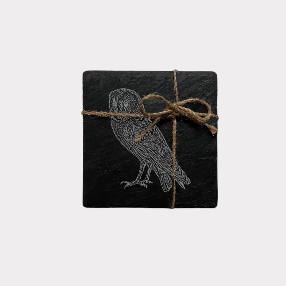 Barn Owl Slate Coasters - Birdwatcher Kitchenware Gift (Set of 2)