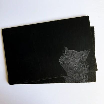 Piglet Sketch Slate Table Mats - Farmhouse Kitchen Placemats (Set of 2)