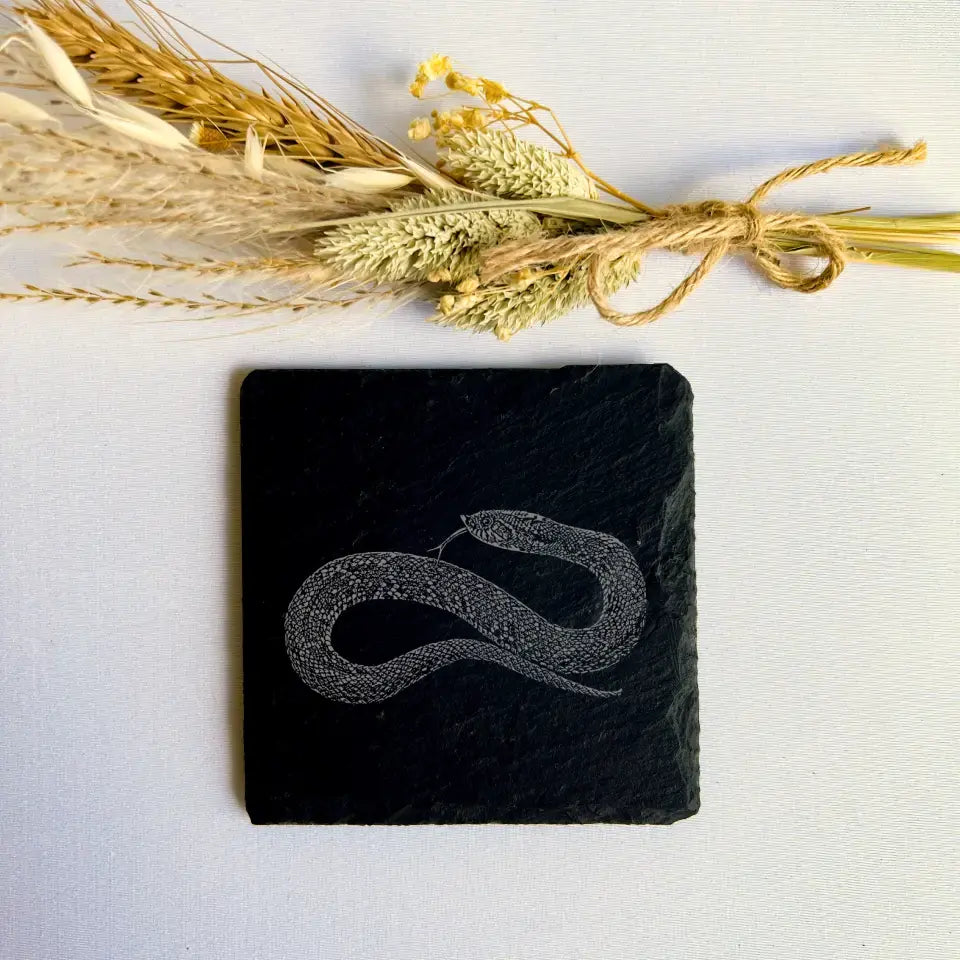 Hognose Snake - Untersetzer aus Naturschiefer (2er-Set) 