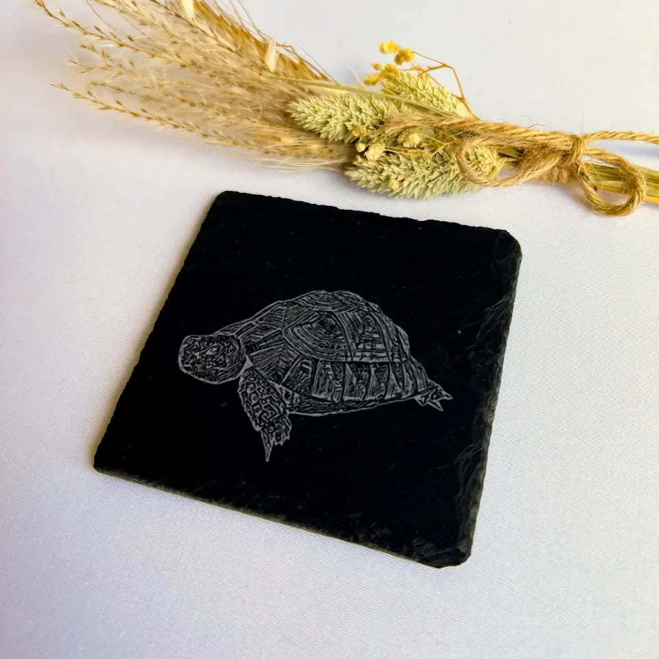 Tortue - Dessous de verre en ardoise naturelle (lot de 2)