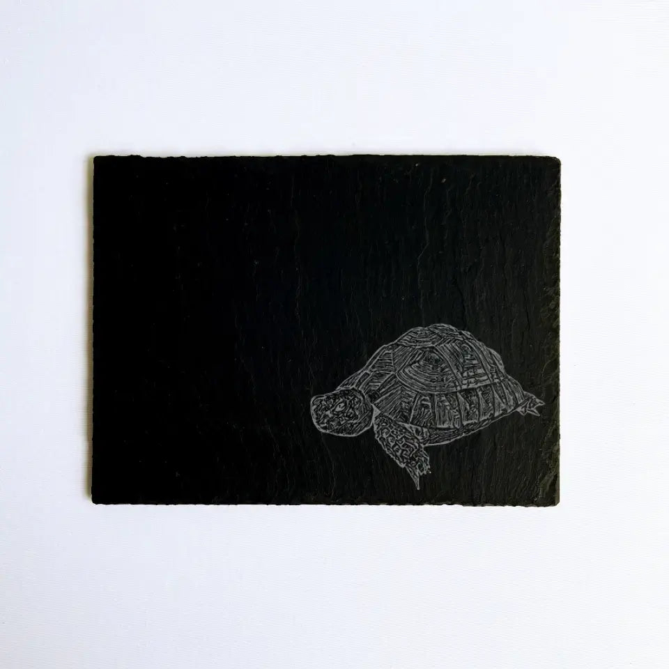 Personalised Tortoise - Natural Slate Basking / Feeding Stone