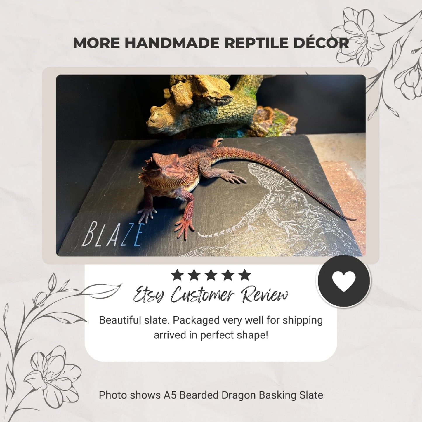 Bearded dragon named Blaze on engraved black slate basking platform beside decorative reptile décor.
