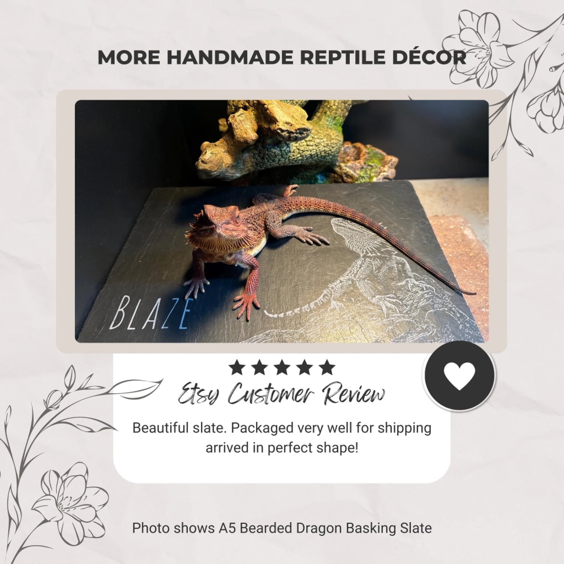 Bearded dragon named Blaze on engraved black slate basking platform beside decorative reptile décor.