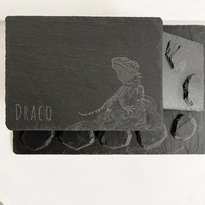 Bearded dragon Overhead view of rectangular black slate reptile hides and round slate pieces on a white surface.