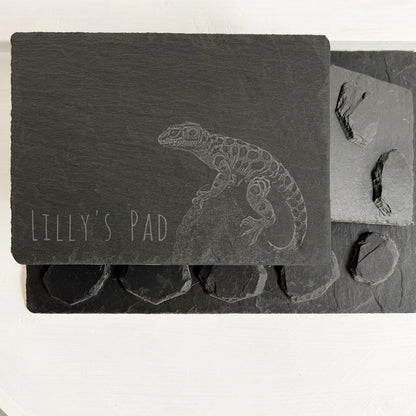 Reptile Slate hide birds eye view